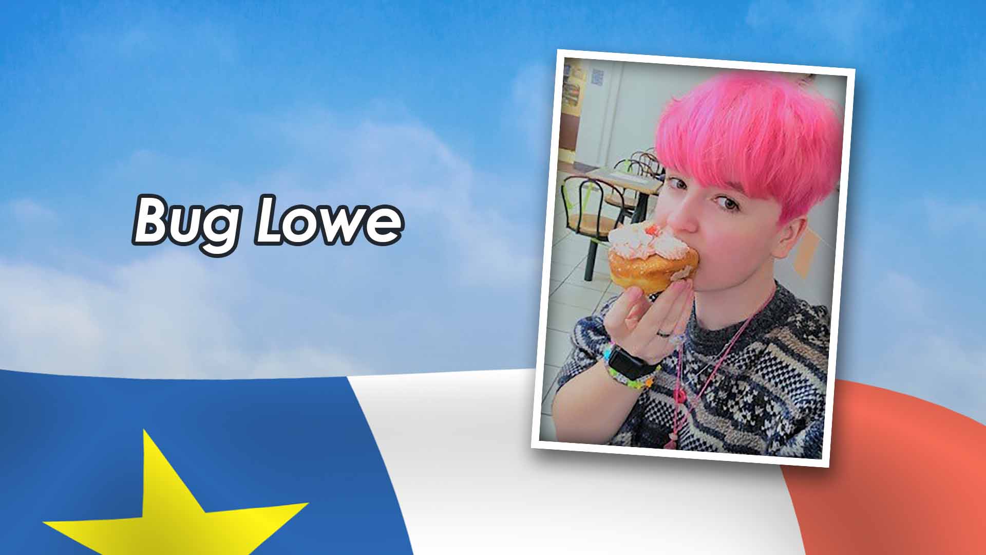 https://www.societesaintecroix.ca/wp-content/uploads/Artistes-bug-lowe-01.jpg